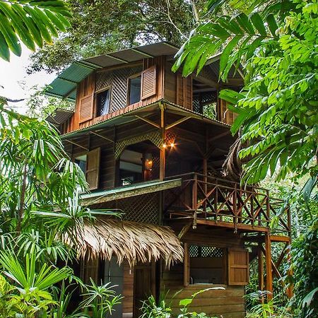 Finca Chica Lodge & Villas Puerto Viejo de Talamanca Quarto foto